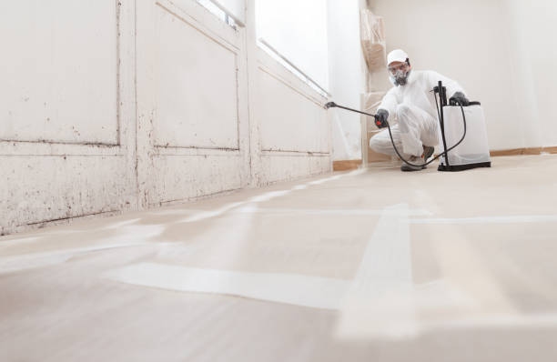 24/7 Emergency Mold Testing experts in Mountlake Terrace, WA